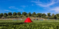 Cesena, il lavoro di oggi